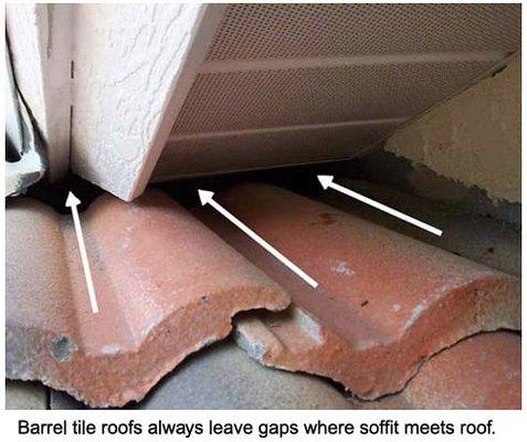 Barrel tile roofs always leave gaps where The soffit meets the roof.