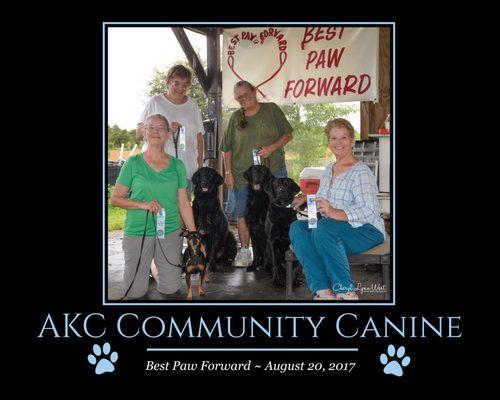 American Kennel Club titles like Canine Good Citizen & Community Canine