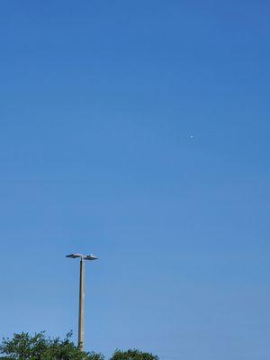 Balloons floating off at 2 o'clock from top of lamp post.