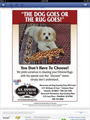 Oriental Rug Washing, Deodorizing, & Repair Advertisement