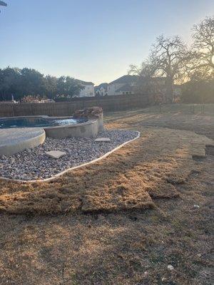 New sod around pool