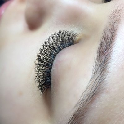 Eyelash Perfection