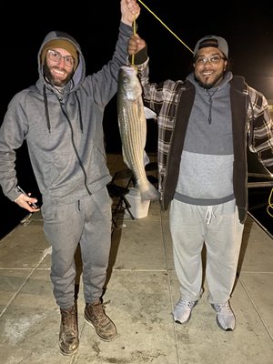 Rio vista fishing dock. 2 1/2 foot stripper bass... Caught December 5, 2020 at 8:30pm