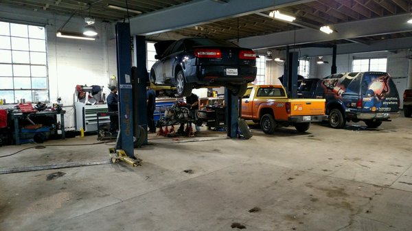 clean shop area with 4 lifts