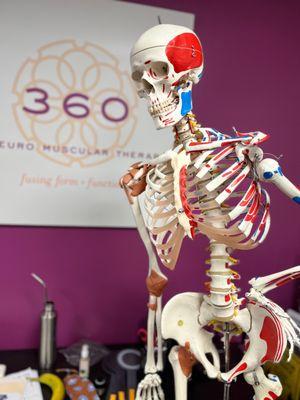 360 NeuroMuscular Therapy