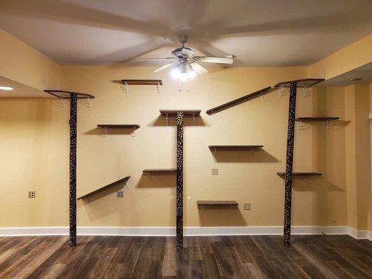 Cat Walk Wall