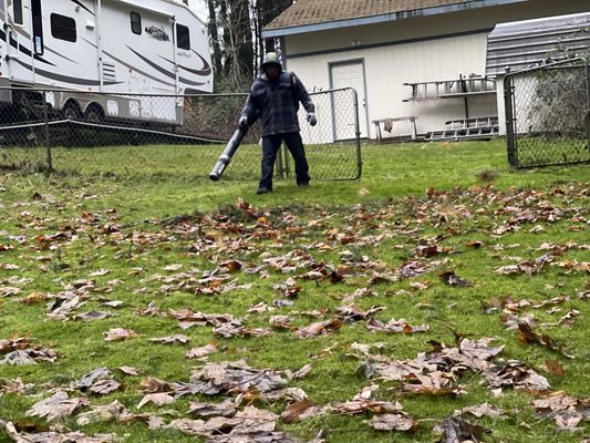 Fall leaf clean up service