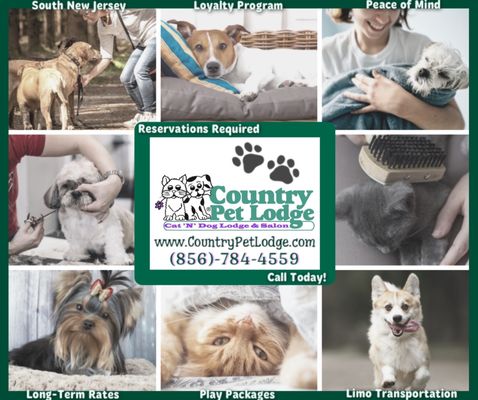 Country Pet Lodge & Salon's Services