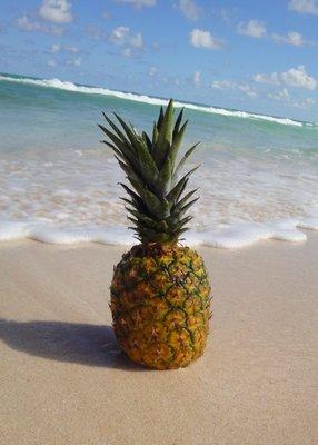 Pineapple Travel