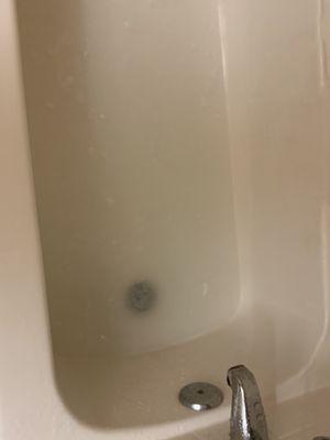 Bathtub stopped up.