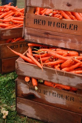 Red Wiggler Community Farm