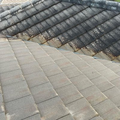 Roof cleaning