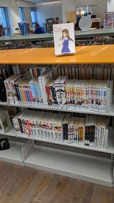 Who is buying manga with our tax dollars...