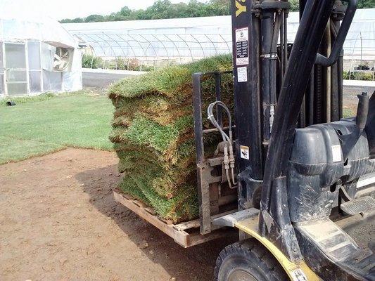 Pine Creek Mulch & Stone