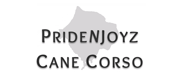 PrideNJoyz Cane Corso Italiano