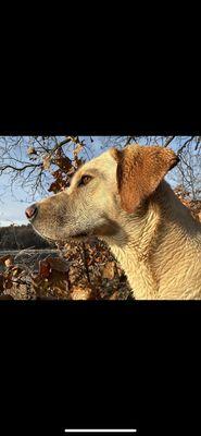 Duck hunting with dad!