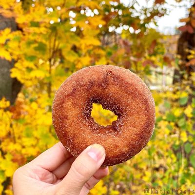 Apple cider doughnut