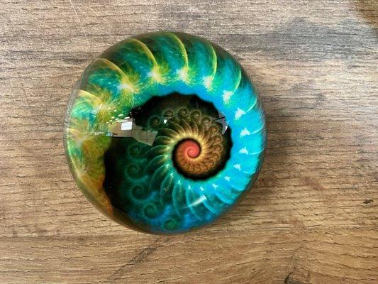 Nautilus Paperweight