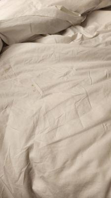 Stains on bed