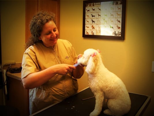 Suzie Baker is our professional groomer.