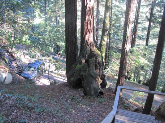 Another photo taken from stairway at Seaton Hill House, 17735 Santa Rosa in Guerneville, CA