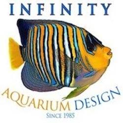 Fine custom aquariums and professional maintenance