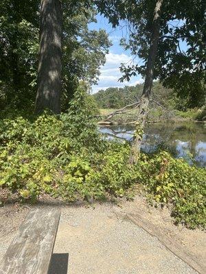 Walking trails with many benches and beautiful views.