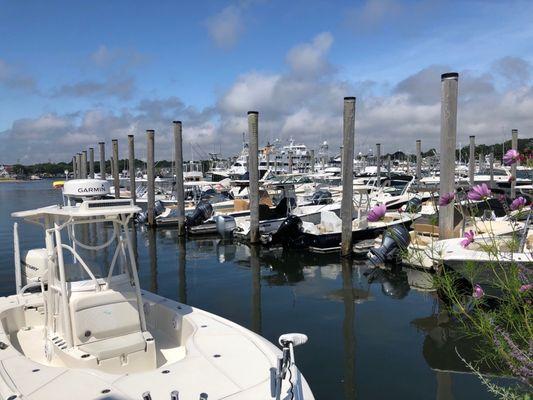 Marina Nantucket