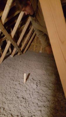 Cellulose Insulation