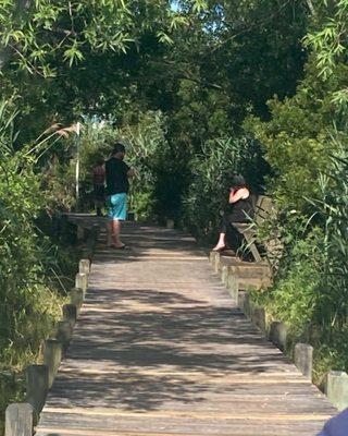 View of the path on the way back. It's a long boardwalk, but I'm grateful there were a few spots for our senior family members to rest