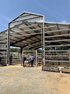 Amador County Fair