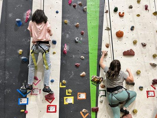 Kendall Cliffs Climbing Gym