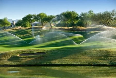 irrigation