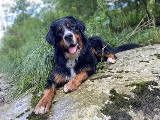 River Adventure with Leo