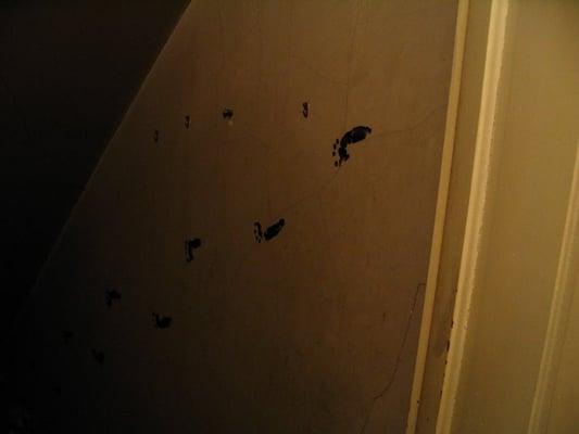 Creepy little footprints going down to the basement