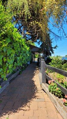 Walkway to the entrance