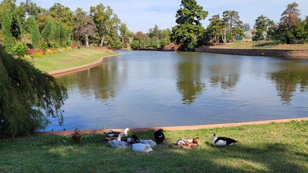 Pond next to Will Rogers Senior Center.  Just short walk east and wheelchair accessible.