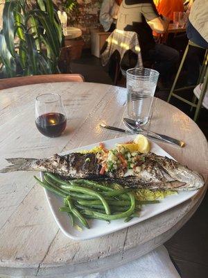 Mediterranean Sea bass