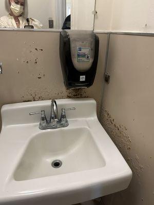 Gross pls bathroom, mold