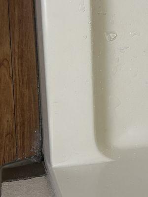 Mold around the shower