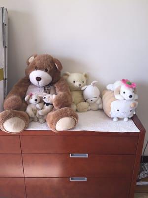 Clean and Bright Stuffed Animals