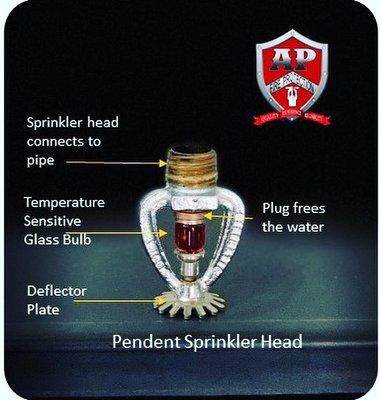 Pendent Fire Sprinkler