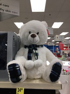 Cute stuffed bear