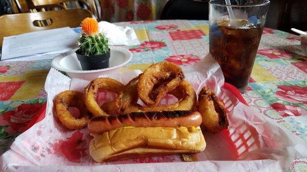 Grilled hot dog with onions,  mustard and ketchup.   The best onion rings ever.