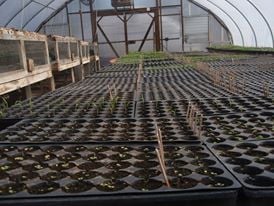 Our seeding greenhouse gets up and running in January!