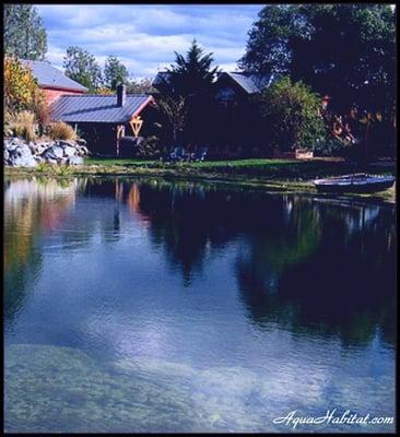 Lakes and Ponds by Biologists