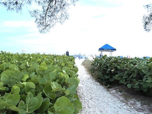 Sandbar Beach Bar & Grill, RumFish Beach Resort by Tradewinds