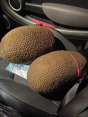 Beautiful jack fruit!