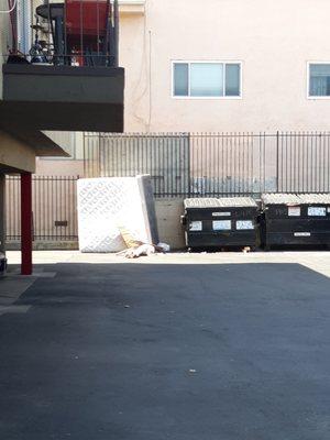 The back dumpster area looks like shit all the time too