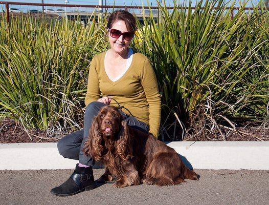 Hanging out with my Sussex Spaniel, Scout.